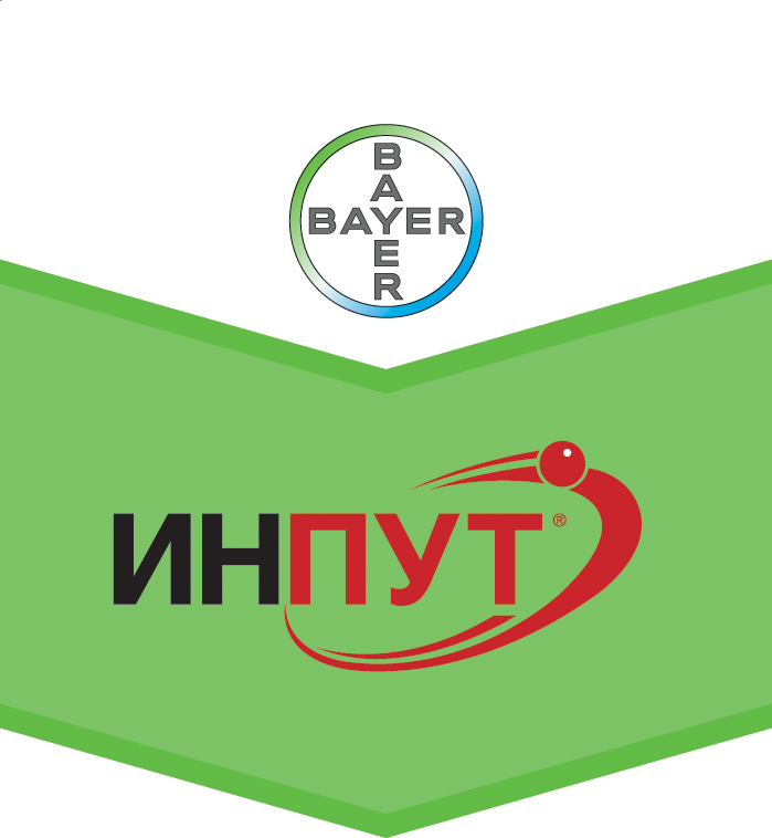 Шеврон Инпут